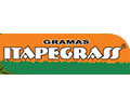 Itapegrass